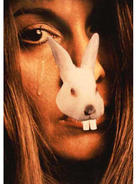 Sad Bunny by Marnie Weber
